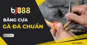 cach bang cua ga da bj88 li