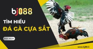 da ga cua sat bj88 li