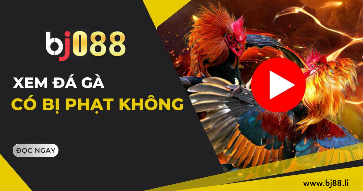 xem da ga co bi phat khong chi tiet bj88 li